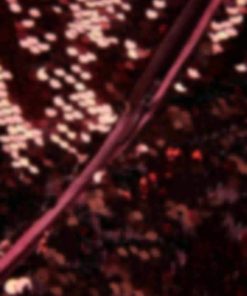 Giftwear.shop26eded89e6 5