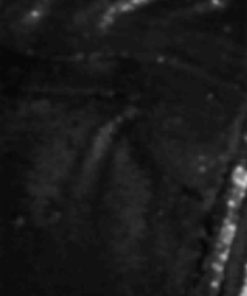 Giftwear.shop27fbf4e21c 3