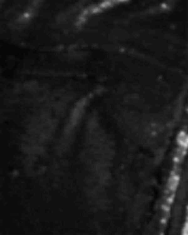 Giftwear.shop27fbf4e21c 3