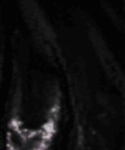 Giftwear.shop27fbf4e21c 5