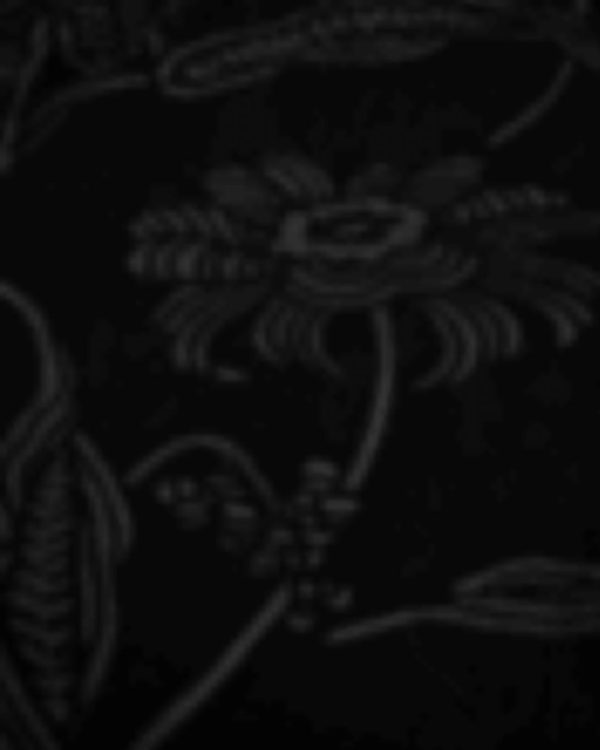 Giftwear.shop31abdec82a 5