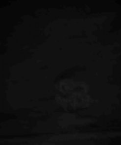 Giftwear.shop37426a5f82 3