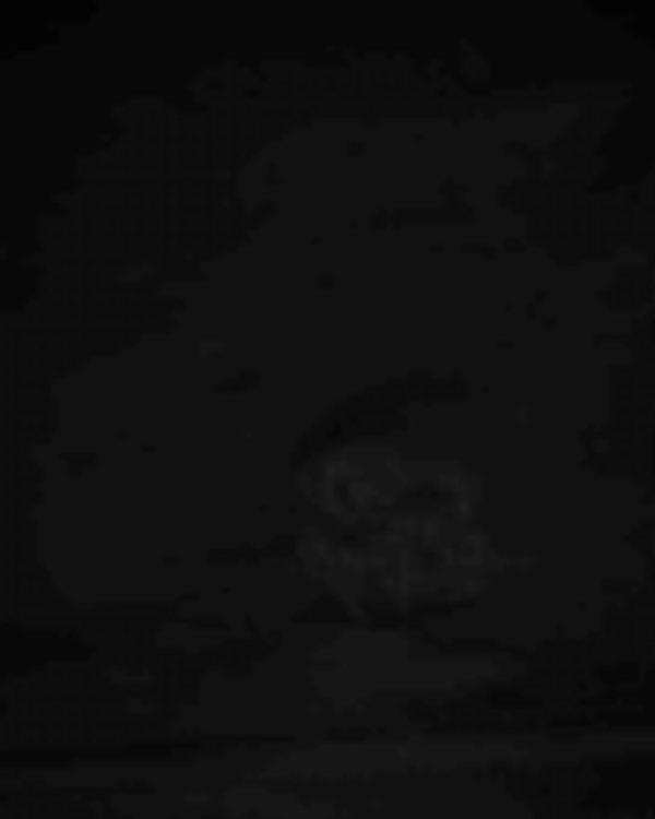 Giftwear.shop37426a5f82 3