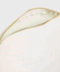 Giftwear.shop3f33703e4f 4