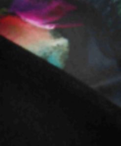 Giftwear.shop57af396e6a 3