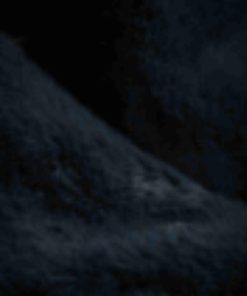 Giftwear.shop7481d43086 3