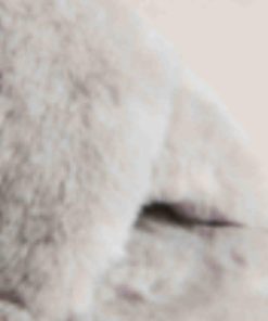 Giftwear.shop82edf6e4bd 3