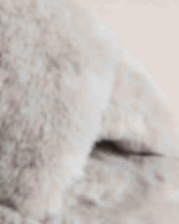 Giftwear.shop82edf6e4bd 3