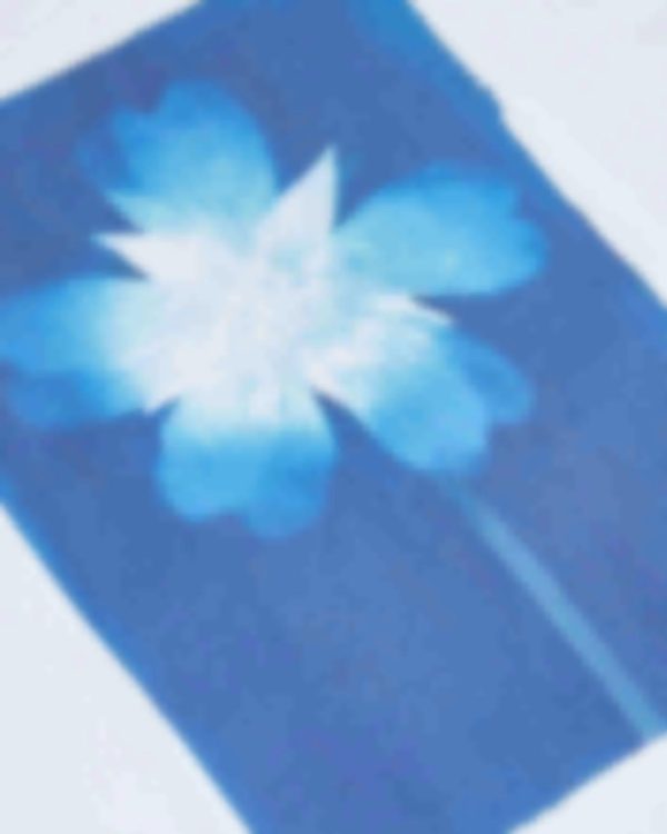 Giftwear.shop9ff4db3b1a 3