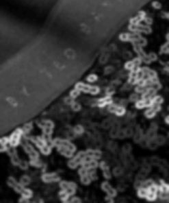 Giftwear.shopac516d0709 2