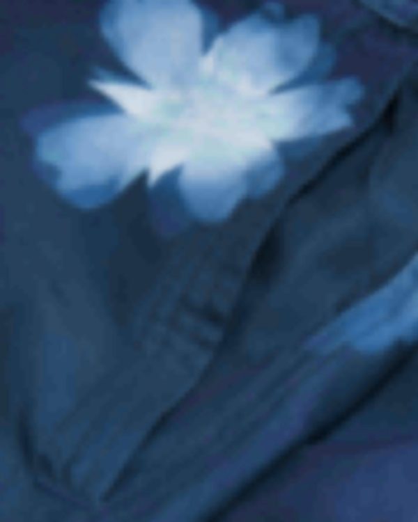 Giftwear.shopbda6e9d941 3