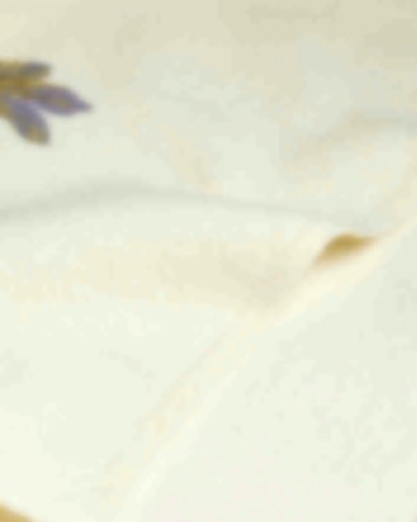 Giftwear.shopc2536278dc 3