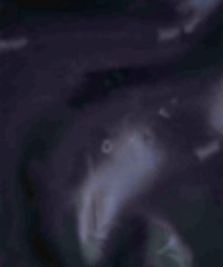 Giftwear.shopcede4b6ec6 5