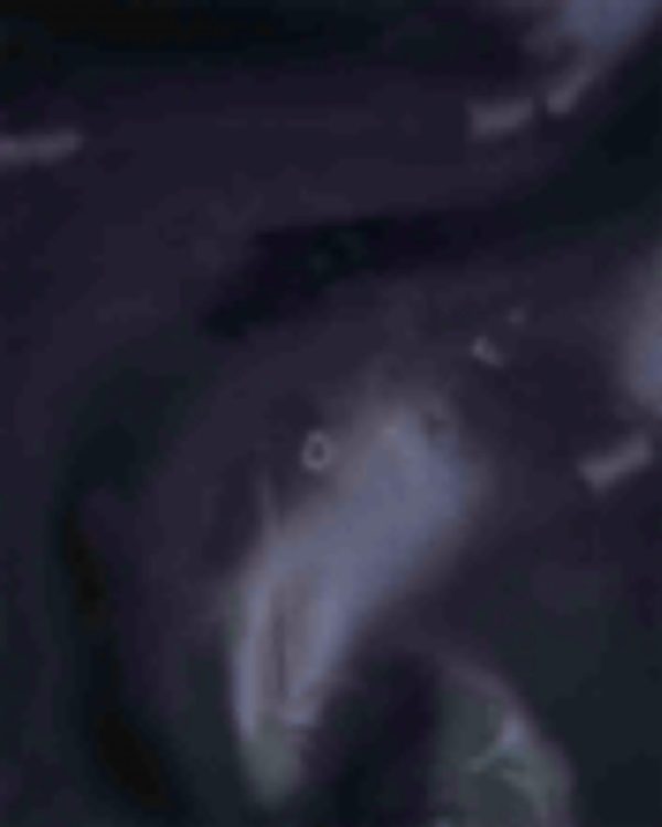 Giftwear.shopcede4b6ec6 5