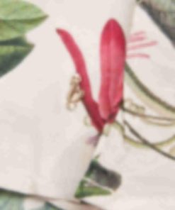 Giftwear.shopdb32556fd6 3