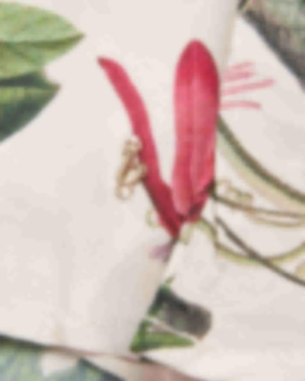 Giftwear.shopdb32556fd6 3