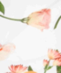 Giftwear.shopdb34cb40ba 3