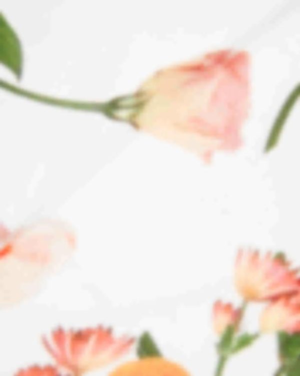 Giftwear.shopdb34cb40ba 3