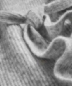 Giftwear.shope3bc481324 3