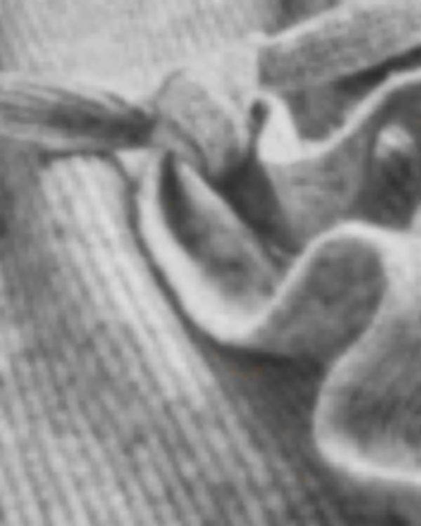 Giftwear.shope3bc481324 3